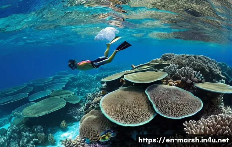 마셜 제도에서의 수상 스포츠 장비 대여 - **Prompt 1: Vibrant Coral Reef Snorkeling in the Marshall Islands**
    "A wide-angle shot of a pers...