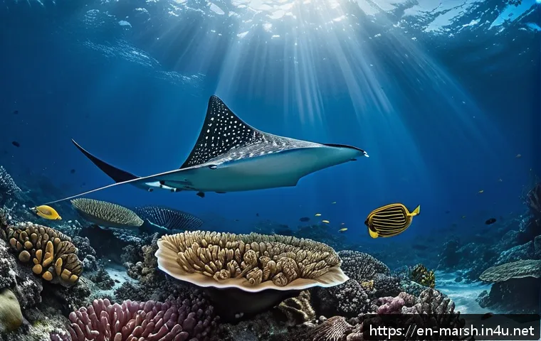 Discover the Hidden Ocean Treasures of the Marshall Islands Rare Marine Species You Won’t Believe Exist 4 마셜 제도에서 볼 수 있는 희귀 해양 생물 관련 이미지 2